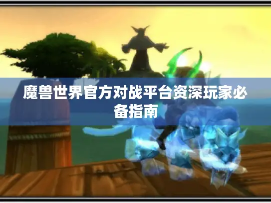 魔兽世界官方对战平台资深玩家必备指南