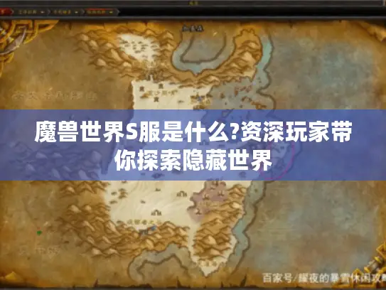魔兽世界S服是什么?资深玩家带你探索隐藏世界