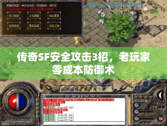 传奇SF安全攻击3招，老玩家零成本防御术