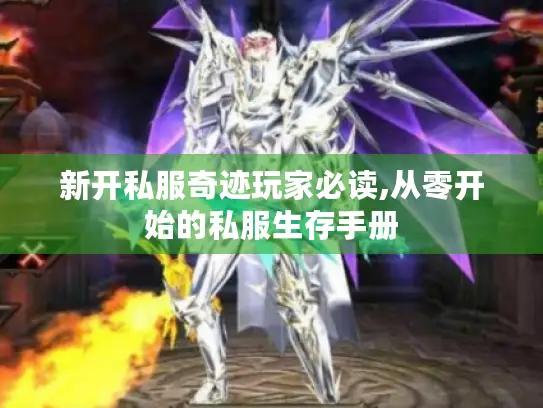 新开私服奇迹玩家必读,从零开始的私服生存手册 新开私服奇迹玩家必读,从零开始的私服生存手册