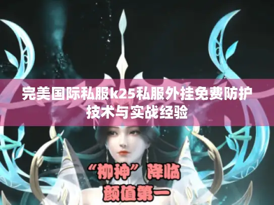 完美国际私服k25私服外挂免费防护技术与实战经验