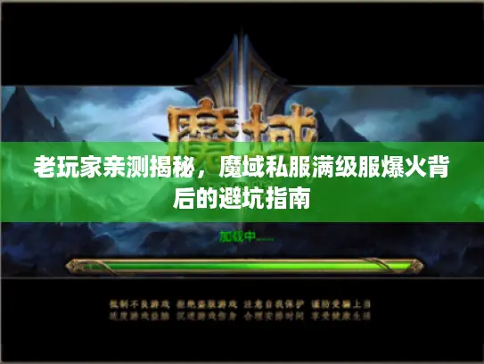 老玩家亲测揭秘，魔域私服满级服爆火背后的避坑指南