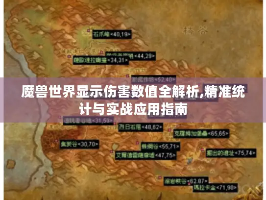 魔兽世界显示伤害数值全解析,精准统计与实战应用指南 魔兽世界显示伤害数值全解析,精准统计与实战应用指南