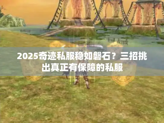 2025奇迹私服稳如磐石？三招挑出真正有保障的私服