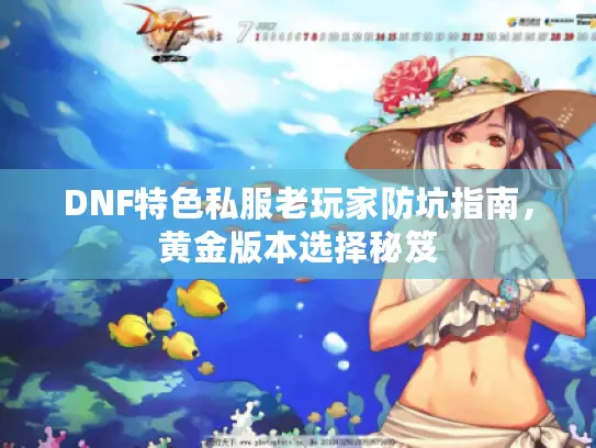 DNF特色私服老玩家防坑指南，黄金版本选择秘笈