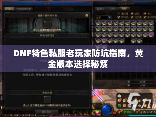 DNF特色私服老玩家防坑指南，黄金版本选择秘笈