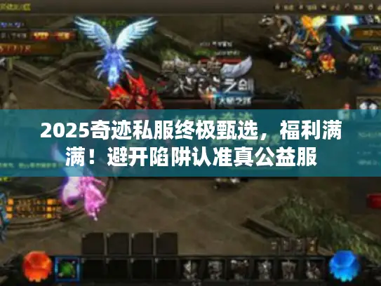 2025奇迹私服终极甄选,福利满满!避开陷阱认准真公益服 2025奇迹私服终极甄选,福利满满!避开陷阱认准真公益服