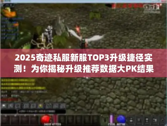 2025奇迹私服新服TOP3升级捷径实测！为你揭秘升级推荐数据大PK结果
