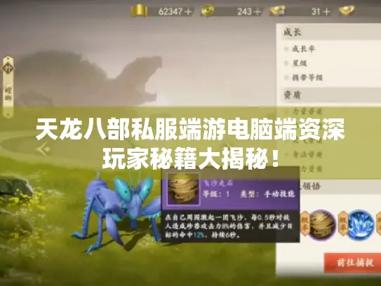 天龙八部私服端游电脑端资深玩家秘籍大揭秘！