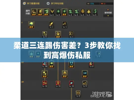 柔道三连踢伤害差?3步教你找到高爆伤私服 柔道三连踢伤害差?3步教你找到高爆伤私服