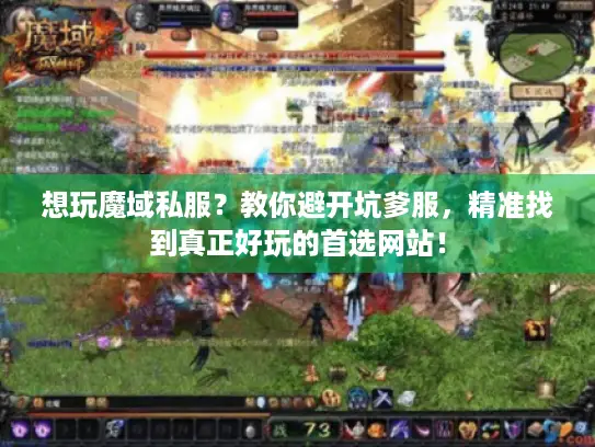 想玩魔域私服？教你避开坑爹服，精准找到真正好玩的首选网站！