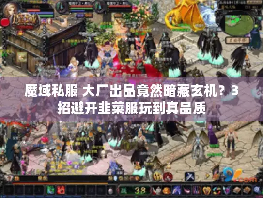 魔域私服 大厂出品竟然暗藏玄机?3招避开韭菜服玩到真品质 魔域私服 大厂出品竟然暗藏玄机?3招避开韭菜服玩到真品质