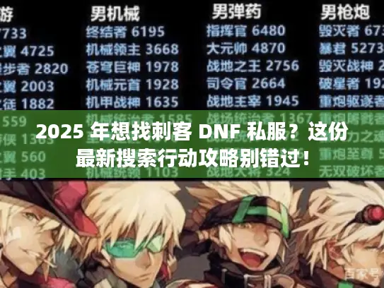 2025 年想找刺客 DNF 私服？这份最新搜索行动攻略别错过！