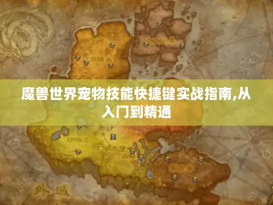 魔兽世界宠物技能快捷键实战指南,从入门到精通