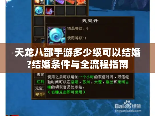 天龙八部手游多少级可以结婚?结婚条件与全流程指南