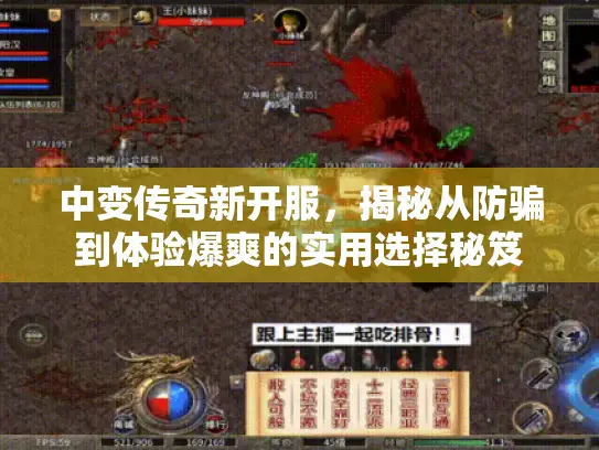 中变传奇新开服，揭秘从防骗到体验爆爽的实用选择秘笈
