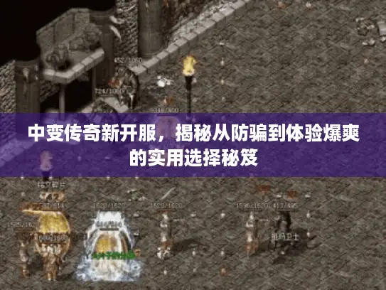 中变传奇新开服，揭秘从防骗到体验爆爽的实用选择秘笈