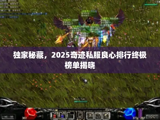 独家秘藏,2025奇迹私服良心排行终极榜单揭晓 独家秘藏,2025奇迹私服良心排行终极榜单揭晓