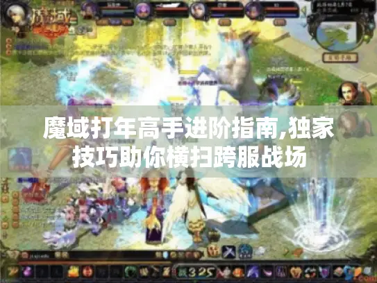 魔域打年高手进阶指南,独家技巧助你横扫跨服战场