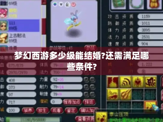 梦幻西游多少级能结婚?还需满足哪些条件?