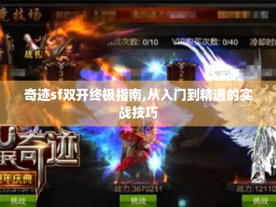奇迹sf双开终极指南,从入门到精通的实战技巧