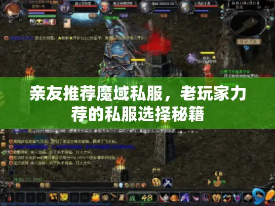 亲友推荐魔域私服，老玩家力荐的私服选择秘籍