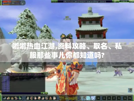 嘟嘟热血江湖,资料攻略、取名、私服那些事儿你都知道吗?