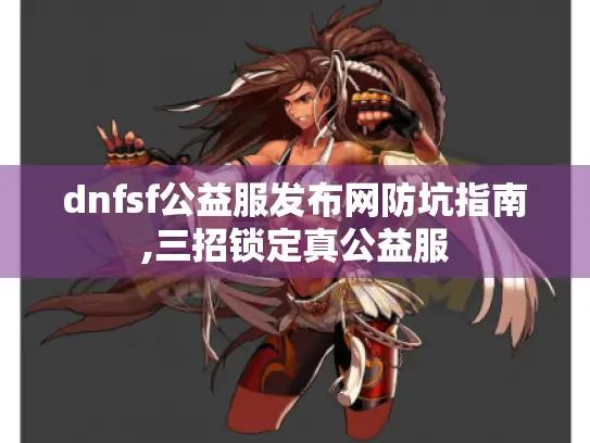 dnfsf公益服发布网防坑指南,三招锁定真公益服