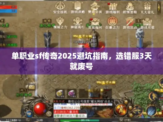 单职业sf传奇2025避坑指南，选错服3天就废号