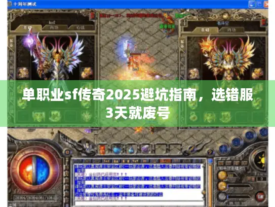 单职业sf传奇2025避坑指南，选错服3天就废号