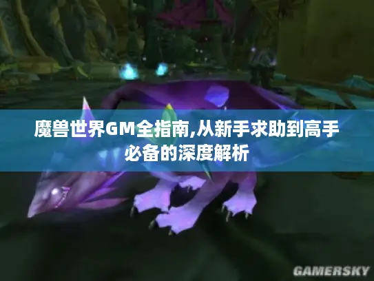 魔兽世界GM全指南,从新手求助到高手必备的深度解析 魔兽世界GM全指南,从新手求助到高手必备的深度解析