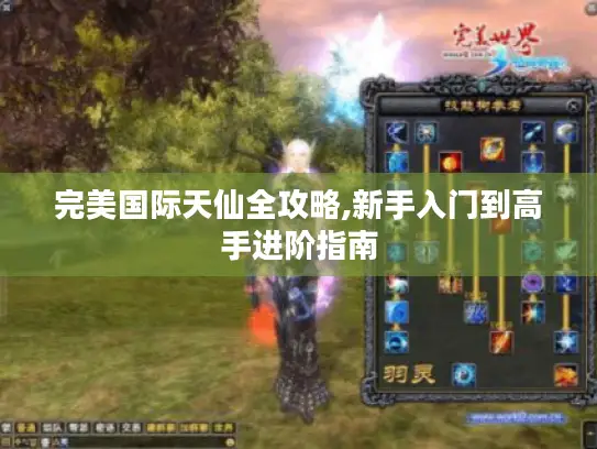 完美国际天仙全攻略,新手入门到高手进阶指南