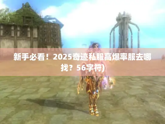 新手必看！2025奇迹私服高爆率服去哪找？56字符)