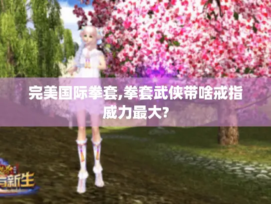 完美国际拳套,拳套武侠带啥戒指威力最大?