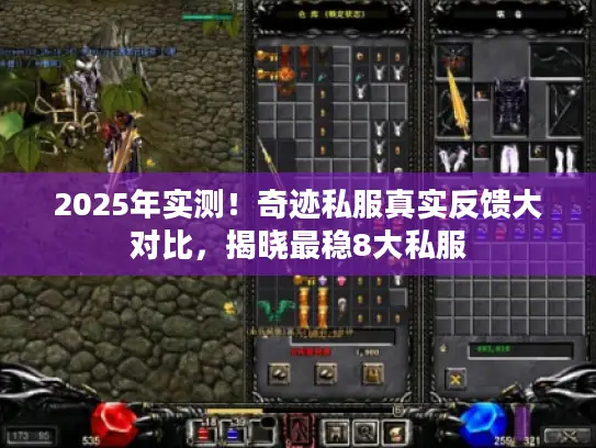 2025年实测！奇迹私服真实反馈大对比，揭晓最稳8大私服