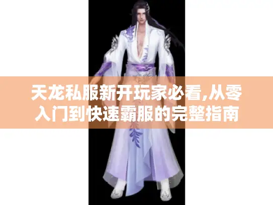 天龙私服新开玩家必看,从零入门到快速霸服的完整指南