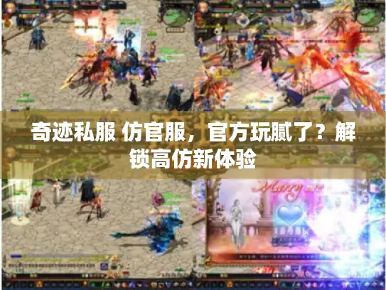 奇迹私服 仿官服，官方玩腻了？解锁高仿新体验