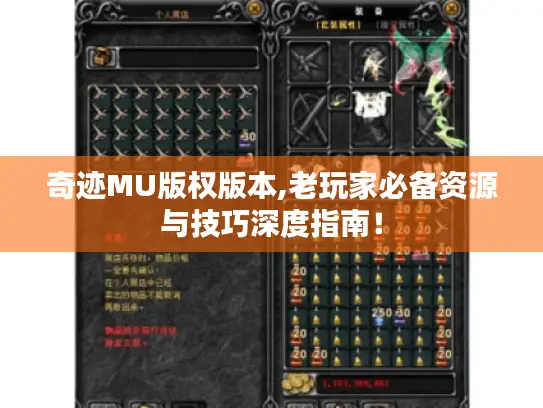 奇迹MU版权版本,老玩家必备资源与技巧深度指南！