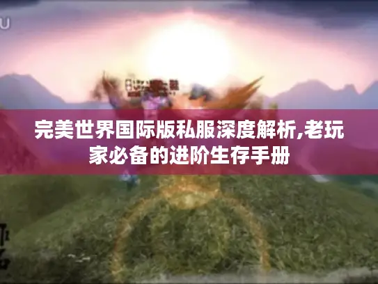 完美世界国际版私服深度解析,老玩家必备的进阶生存手册