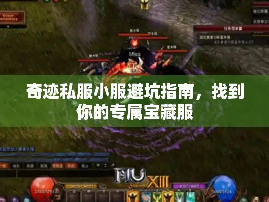 奇迹私服小服避坑指南，找到你的专属宝藏服