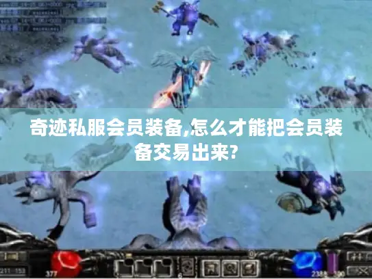 奇迹私服会员装备,怎么才能把会员装备交易出来?