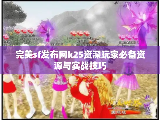 完美sf发布网k25资深玩家必备资源与实战技巧