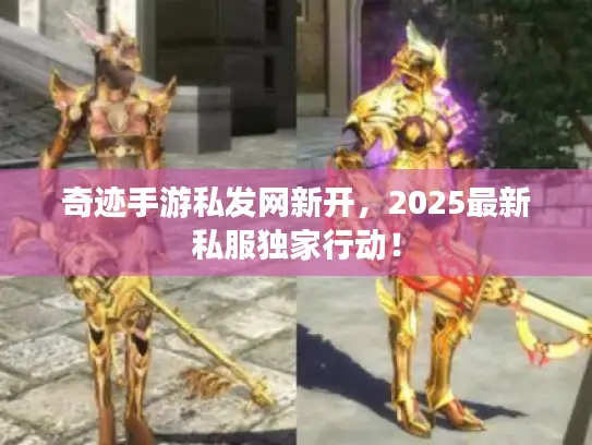 奇迹手游私发网新开,2025最新私服独家行动! 奇迹手游私发网新开,2025最新私服独家行动!
