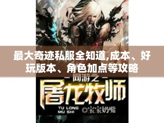 最大奇迹私服全知道,成本、好玩版本、角色加点等攻略