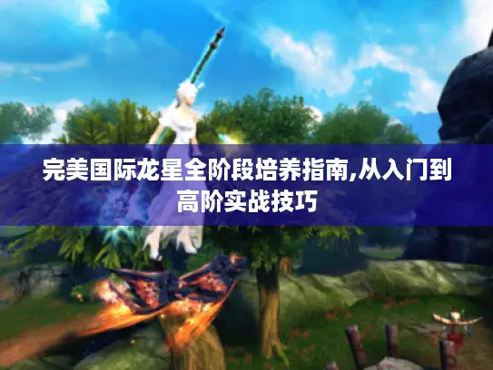 完美国际龙星全阶段培养指南,从入门到高阶实战技巧