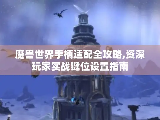 魔兽世界手柄适配全攻略,资深玩家实战键位设置指南