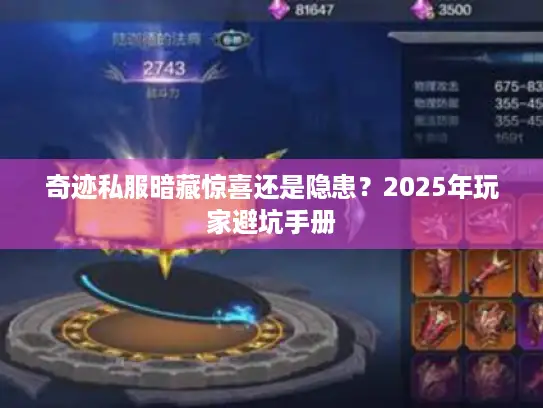 奇迹私服暗藏惊喜还是隐患？2025年玩家避坑手册