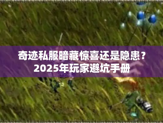 奇迹私服暗藏惊喜还是隐患？2025年玩家避坑手册