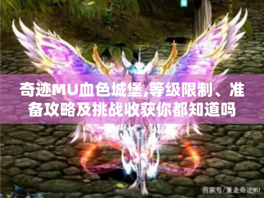 奇迹MU血色城堡,等级限制、准备攻略及挑战收获你都知道吗? 奇迹MU血色城堡,等级限制、准备攻略及挑战收获你都知道吗?