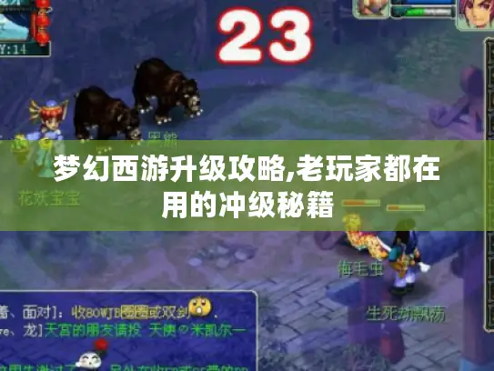 梦幻西游升级攻略,老玩家都在用的冲级秘籍 梦幻西游升级攻略,老玩家都在用的冲级秘籍